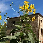 בית חווה Al Palazzaccio