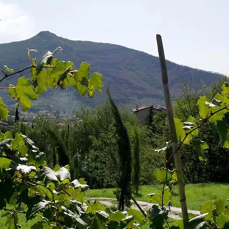 Al Palazzaccio Farm stay Calci